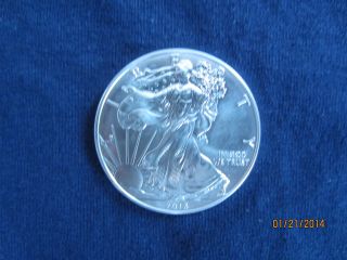 2013 Silver American Eagle 1 Oz.  999 Silver Bullion (uncirculated) photo