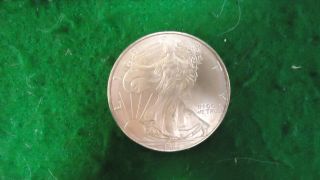 1996 American Eagle Uncirculated Silver Dollar photo