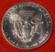 American Silver Eagle 1987 Dollar 1 Oz.  999% Bu Great Collector Coin Gift Silver photo 1
