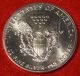 American Silver Eagle 1989 Dollar 1 Oz.  999% Bu Great Collector Coin Gift Silver photo 1