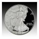 2002 - W American Silver Eagle Proof Silver photo 1
