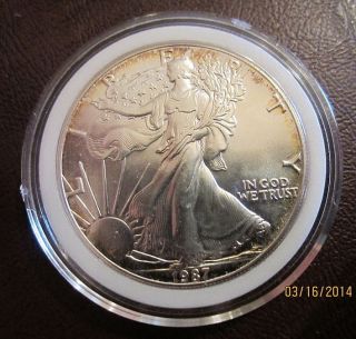 1987 American Silver Eagle Dollar Coin $1 1 Troy Ounce.  999 Fine Unc 665 photo