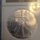 2010 Silver Eagle 1 Oz Ms 69 Ngc Graded And Certified Matte Finish Silver photo 1