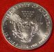 American Silver Eagle 1990 Dollar 1 Oz.  999% Bu Great Collector Coin Gift Silver photo 1