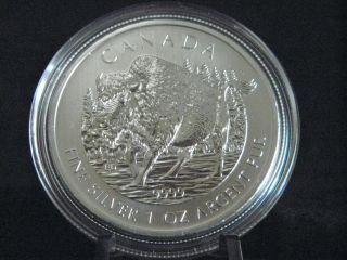2013 1 Oz Silver Canadian Wood Bison (wildlife Series) Brilliant Uncirculated photo