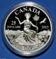 2013 Canada An Allegory $25 Proof 1 Oz 99.  99 Pure Silver Coin Coins: Canada photo 2