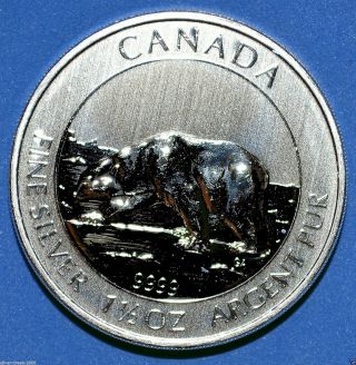 2013 1.  5 Oz $8 Polar Bear.  999 Canadian Pure Silver Coin Brilliant Uncirculated photo