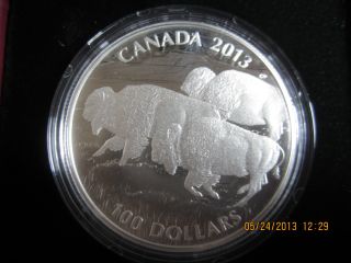 Bison Silver Coin For The First Issue In The Wildlife In Motion Canada 2013 photo