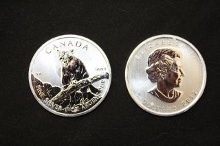 Wildlife Series Cougar Canada Maple Leaf 1 Oz Silver 9999 Bullion Coin Round photo