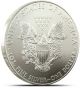 2013 - 1 Oz American Silver Eagle Coin Gem Bu - One Troy Oz.  999 Bullion Silver photo 1