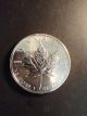 Canada Rare 1996 Silver Maple Leaf 1 Oz Silver photo 1