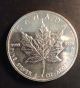 Canada Rare 1991 Silver Maple Leaf 1 Oz Silver photo 1