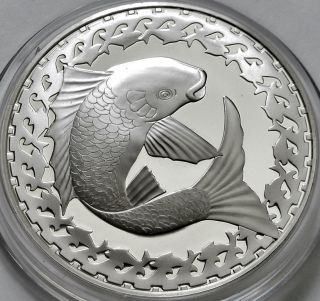 Fish Good Luck Symbol Good Fortune Sterling Silver Coin Franklin Happiness photo