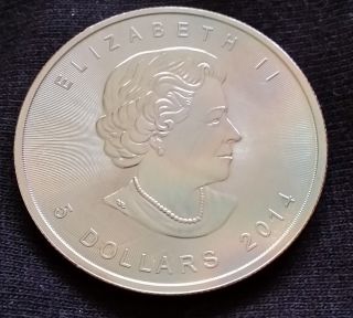 2014 1 Oz Canadian Silver Maple.  999 photo