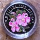 2011 Canada Love Wild Rose&crystals 1oz.  Fine Silver Coin Wedding/valentine Gift Silver photo 4