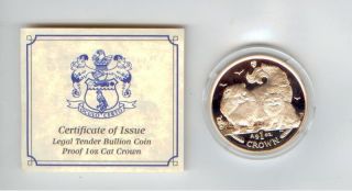 2009 Isle Of Man Silver Chinchilla Cat Coin photo