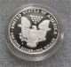 1987 - S Usa 999 Pure Silver Walking Liberty Eagle Coin 1 Troy Oz.  Proof Silver photo 1
