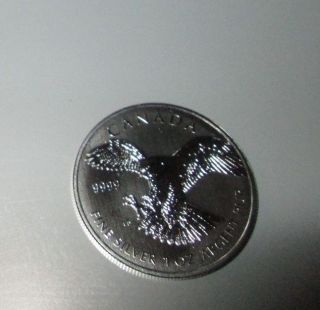 2014 $5 Canadian Peregrine Falcon 1 Troy Oz.  9999 Silver Round photo