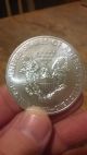 2014 Walking Liberty Silver Coin 1 Ounce.  999 Pure Silver Silver photo 1