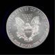 Silver Round 2014 American Eagle 1 Oz.  999 Dollar Nr Look @ R_and_l Store Silver photo 1