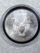 1 Troy Ounce.  999 Fine Silver Round Silver photo 2