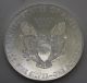 Silver Coin 1 Troy Ounce American Eagle - Walking Liberty.  999 Fine Silver 2013 Silver photo 1
