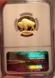 2008 - W $10 Ngc Pr 69 Ultra Cam 1/4 Oz American Gold Buffalo (pf 69 Ultra Cameo) Gold photo 1