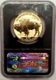 2013 - W 1 Oz Reverse Proof Gold Buffalo Pf - 70 Ngc Early Releases Gold photo 1