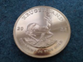 1 Oz Gold South African Krugerrand Coin - 2008 photo