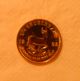 1982 South Africa Krugerrand 1/4 Oz Quarter Ounce Fine Gold Bullion Coin Gold photo 3