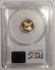 1998 Gold Eagle $5 Tenth - Ounce Pr69 Dcam Pcgs Gold photo 1