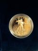 2010 1 Oz Gold American Eagle Coin - Brilliant Uncirculated - W Gold photo 2