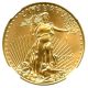 2010 Gold Eagle $25 Ngc Ms70 American Gold Eagle Age - Gold photo 2