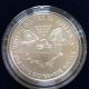 2004 American Eagle Ten Dollar 1/4 Oz Gold Coin & Silver Eagle 1oz Gold photo 8