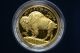 2006 W Gold Buffalo - Proof - 1 Oz - All Packaging & 1026 Gold photo 1