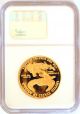 1994 W American Gold Proof Eagle $50 Gold Coin Ngc Pf 70 Ultra Cameo Gold photo 1