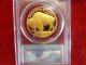 Gold Buffalo 2007w.  9999 One Troy Ounce Pr69 Dcam Pcgs Graded Gold photo 1