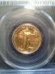 2006 $10 American Gold Eagle Pcgs Ms69 First Strike 1/4 Oz.  Gold Gold photo 1