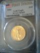 2006 $10 American Gold Eagle Pcgs Ms69 First Strike 1/4 Oz.  Gold Gold photo 2