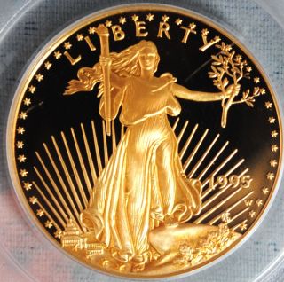 1995 W $25 Gold Eagle 1/2 Ounce Proof Coin Pcgs Pr 69 Dcam Deep Cameo With ' W ' photo