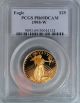 1995 W $25 Gold Eagle 1/2 Ounce Proof Coin Pcgs Pr 69 Dcam Deep Cameo With ' W ' Gold photo 2