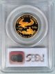 1995 W $25 Gold Eagle 1/2 Ounce Proof Coin Pcgs Pr 69 Dcam Deep Cameo With ' W ' Gold photo 3