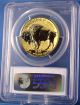 2013 - W American Buffalo One Ounce Gold Reverse Proof Coin 99.  99% Pure Gold Gold photo 3