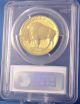 2013 - W American Buffalo One Ounce Gold Reverse Proof Coin 99.  99% Pure Gold Gold photo 5