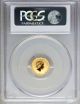 2014 P $5 Year Of The Horse Australia Gold 1/20 Oz Coin Bu Unc Pcgs Ms69 69 Gold photo 3