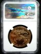 2013 1 Oz American Eagle $50 Gold Coin Ngc Early Release Ms69 Gold photo 1