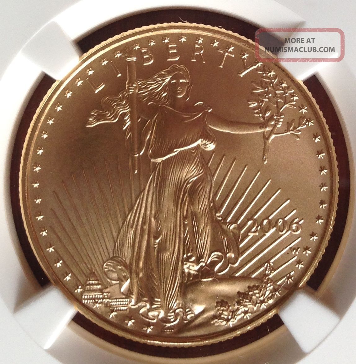 2006 - W $25 Ngc Ms 70 Burnished Gold American Eagle