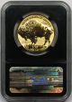 2013 - W Gold $50 Buffalo 1 Oz Reverse Proof Pf 69 Ngc Early Releases Retro Gold photo 1