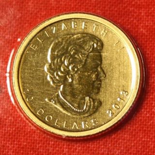 Canadian Gold Maple Leaf 2013 1/4 Oz.  999% Bu Great Collector Coin Gift photo