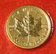 Canadian Gold Maple Leaf 2013 1/4 Oz.  999% Bu Great Collector Coin Gift Gold photo 1